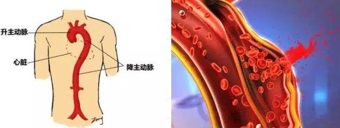 搜狗截图20210714104457.jpg