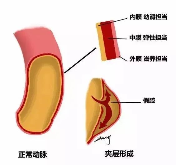 微信图片_20220427090847.jpg